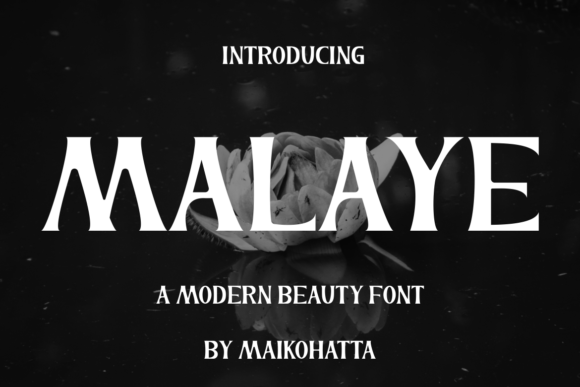 Malaye: Elevating Brand Identity with Bold, Authentic Typography